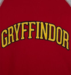 Warner Bros Kids Gryffindor Sweatshirt -Harry Potter 1329375 4