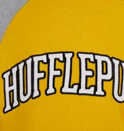 Warner Bros Kids Hufflepuff Sweatshirt -Harry Potter 1329397 4