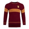 Warner Bros Gryffindor Quidditch Knitted Adult Jumper -Harry Potter 256633 1