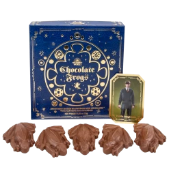 Warner Bros Harry Potter Bear And Chocolate Frog Box -Harry Potter ChocFrogSelectionBox