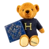 Warner Bros Harry Potter Bear And Chocolate Frog Box -Harry Potter HarryPotterHBear1
