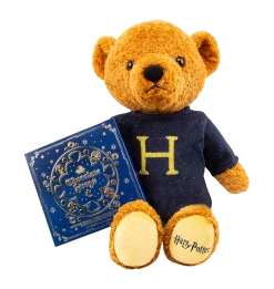 Warner Bros Harry Potter Bear And Chocolate Frog Box