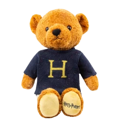 Warner Bros 'H' For Harry Jumper Bear