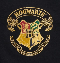 Warner Bros Hogwarts Adult Spirit Jersey -Harry Potter Hogwarts FLC1
