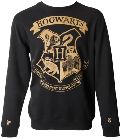 Warner Bros Hogwarts Striped Sleeve Sweatshirt