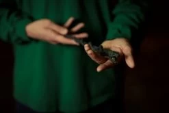 Warner Bros The Slytherin Mascot Wand -Harry Potter Optimized WBST HPNY 14.09.20 hires 3x2 1677