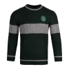 Warner Bros Slytherin Quidditch Jumper -Harry Potter PL00010105 1