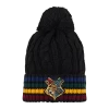 Warner Bros Hogwarts School Crest Knitted Hat