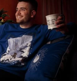 Warner Bros Hagrid Christmas Cushion Cover -Harry Potter XMAS23 LifestyleHagridCushion