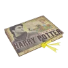 Warner Bros Harry Potter Artefact Box