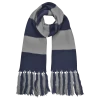 Warner Bros Ravenclaw Broad Stripe Scarf -Harry Potter ravescarf