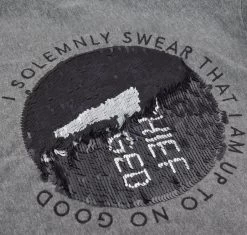 Warner Bros Kids Marauder's Map Sequin Reverse T-shirt -Harry Potter swearteezhalfwaythru